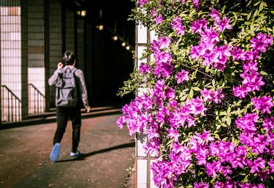 Full length of woman holding flowers