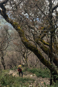 Mount lawu hiking trail, central java