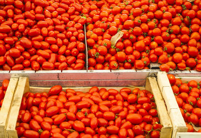 Tomatoes at shop for sale