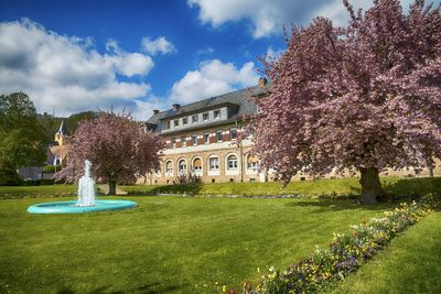 Trees and lawn in front of building against sky