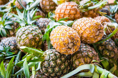 Close-up of fruits growing in market