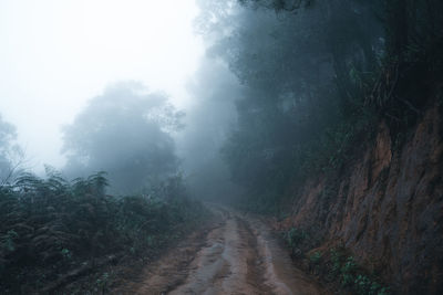 Dirt road amidst trees against sky