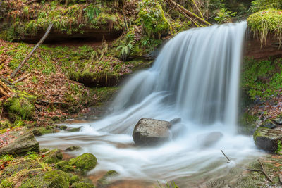 Low angle view of waterfall in forest