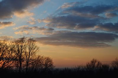 Silhouette bare trees against sky during sunset