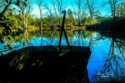 Scenic view of lake in forest