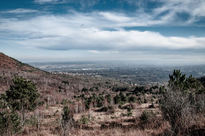 Scenic view of landscape against sky