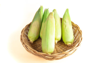 Close-up of vegetables in basket against white background
