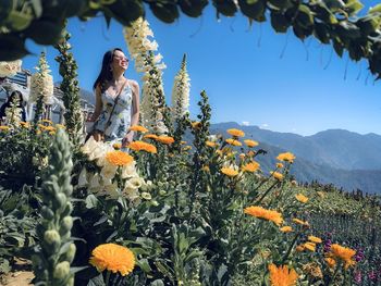 Low angle view of flowering plants against sky