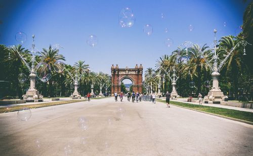 Palm trees in park against sky