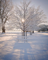 Fresh overnight snow covered bench in the park. winter in park.