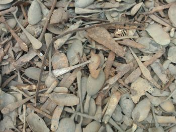 Full frame shot of firewood