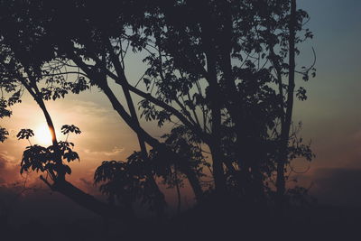 Silhouette of trees against sky during sunset