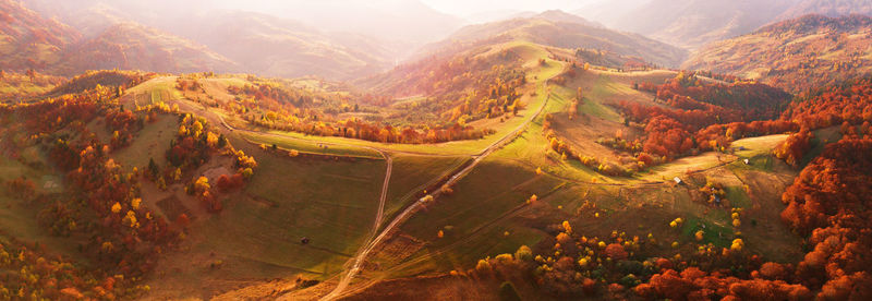 Autumn mountain panorama. sunny landscape meadow colorful forest. red, yellow, trees on hillsides