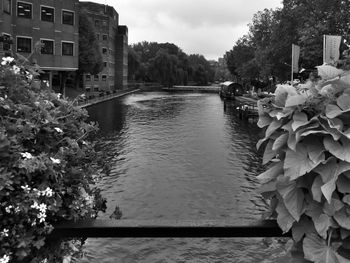 Scenic view of river by building against sky