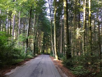 Empty country road amidst trees in forest