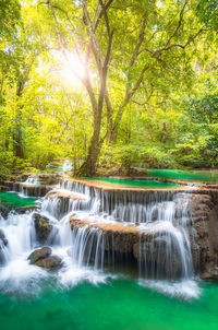 Scenic view of waterfall in forest