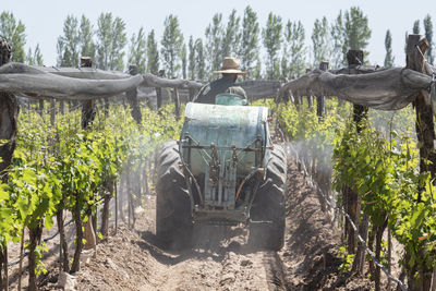 Rear view of vehicle on agricultural field