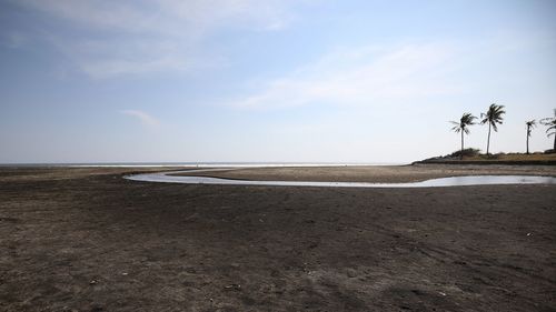 Scenic view of beach against sky