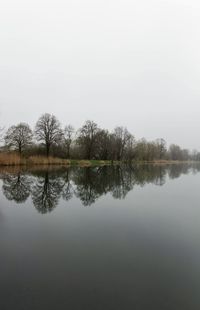 Reflection of trees in lake against clear sky