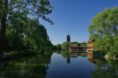 Reflection of trees in lake