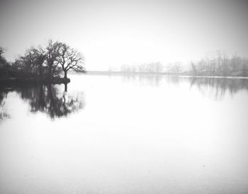 Reflection of trees in calm lake