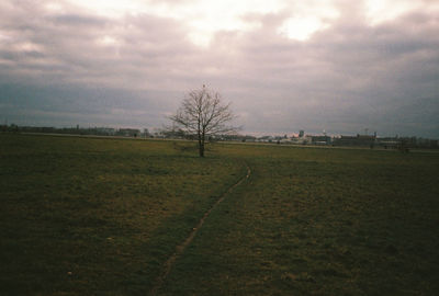 Scenic view of field against sky