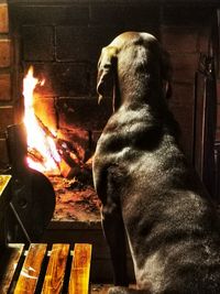 fireplace