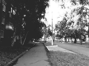 Empty footpath along trees