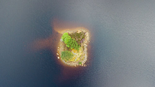 Aerial view of land by sea