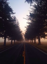 Country road at sunset