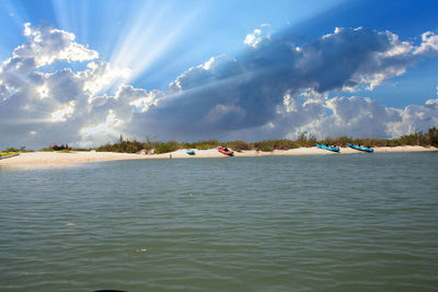 Kayaks lined up on the beach off of new pass in bonita springs, florida