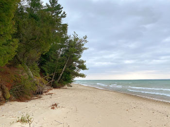 Scenic view of beach against sky