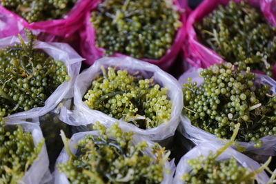 Close-up of vegetables for sale in market