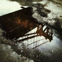 Reflection of trees in puddle