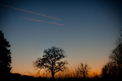 Low angle view of silhouette trees against sky at sunset