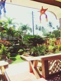 Potted plants on floor