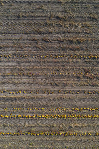 Full frame shot of cracked land