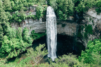 View of waterfall in forest