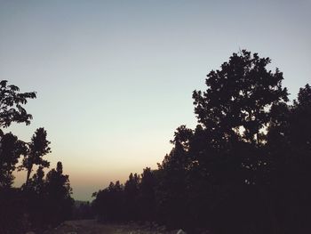 Silhouette trees against clear sky during sunset