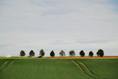 Scenic view of field against sky