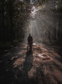 Rear view of man walking in forest