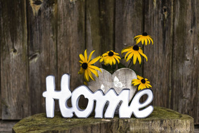 Close-up of flowers on wood