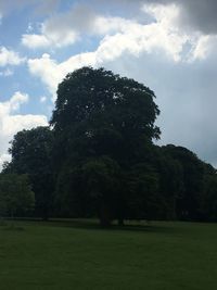 Trees on field against sky