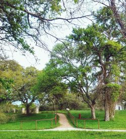 Footpath in park