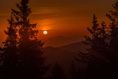 Silhouette trees against sky during sunset