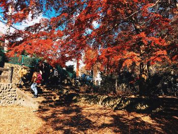 Man walking on plants during autumn