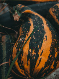 Close-up of pumpkin on table
