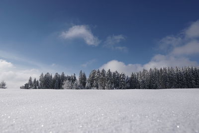 Trees on snow covered field against sky