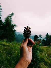 Cropped hand holding flower against trees and sky