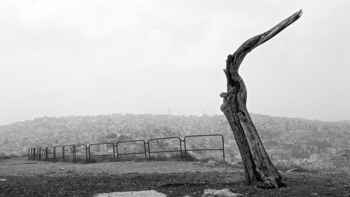 Dead tree on land against sky